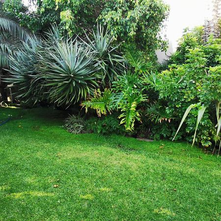 דירות סווקופמונד Mulberry Gardens Self Catering מראה חיצוני תמונה
