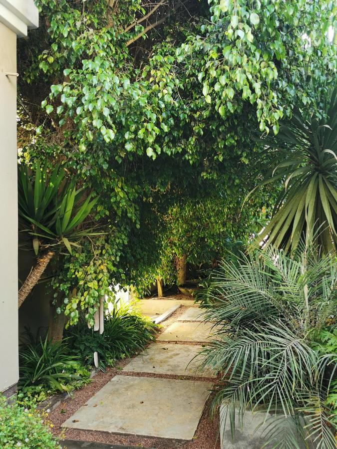 דירות סווקופמונד Mulberry Gardens Self Catering מראה חיצוני תמונה