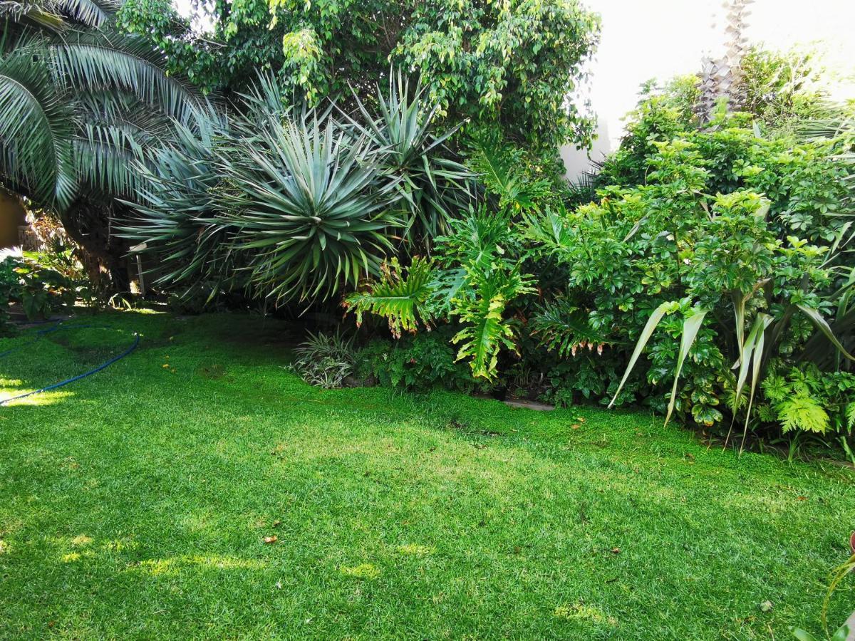 דירות סווקופמונד Mulberry Gardens Self Catering מראה חיצוני תמונה